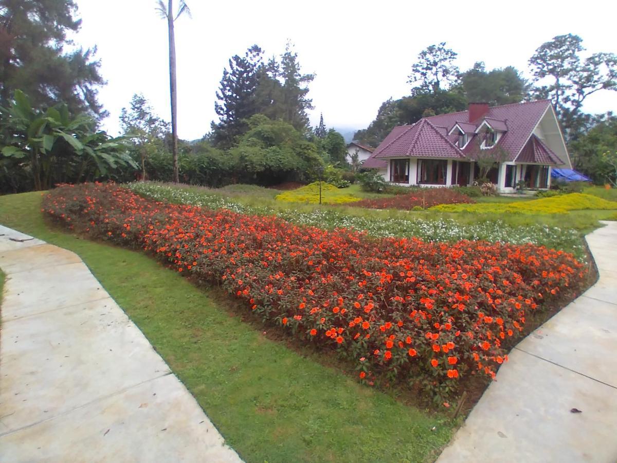Gardenia Park Melur *