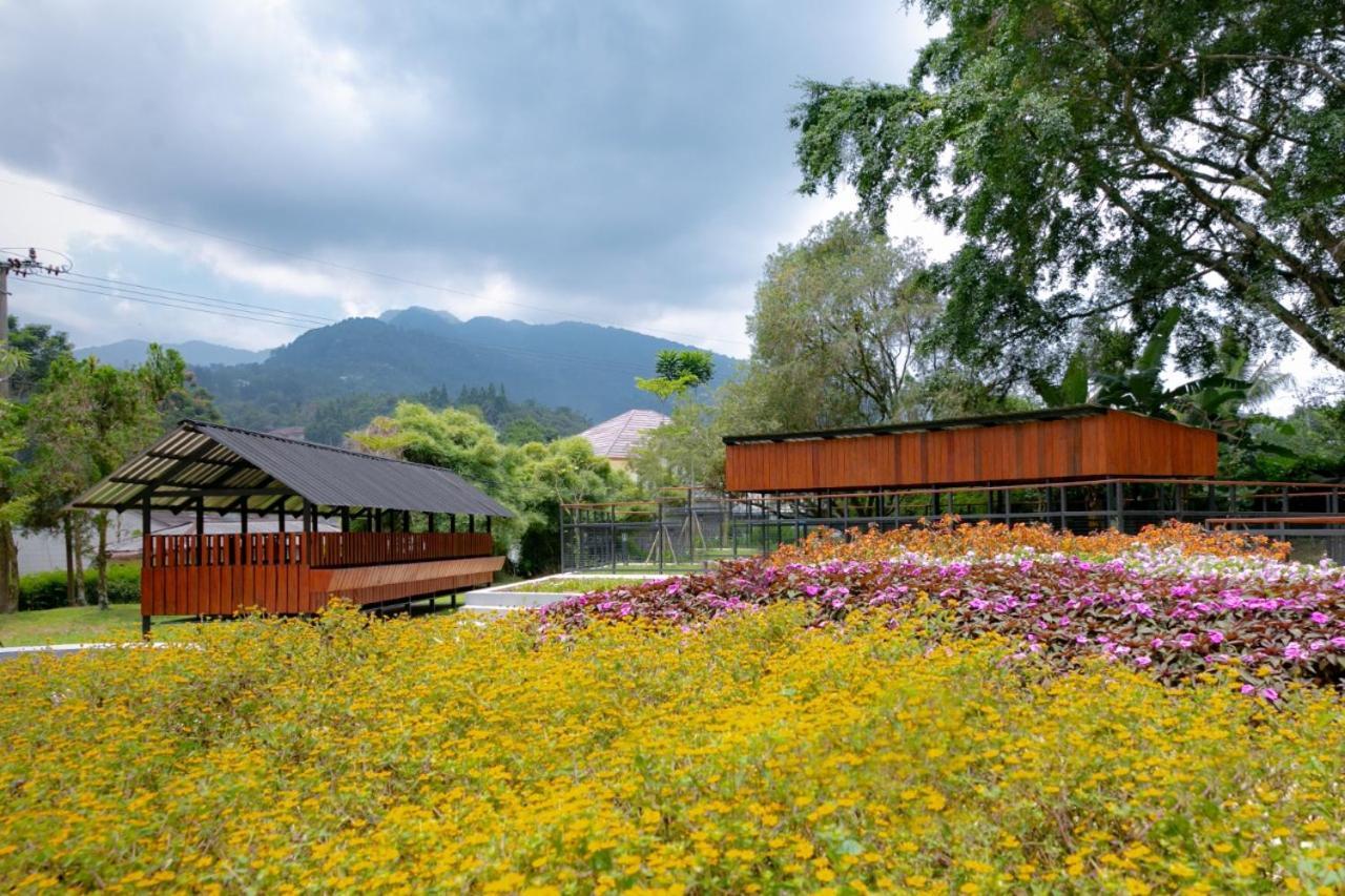 Gardenia Park Melur *